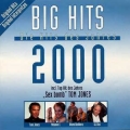 Big Hits 2000 - Various Big Hits 2000 - Various